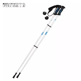 Aluminum Ski pole