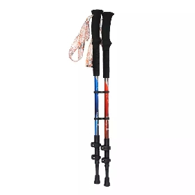 2pcs Pack Collapsible & Portable Walking Sticks with Extended EVA Handle, Quick Flip Lock