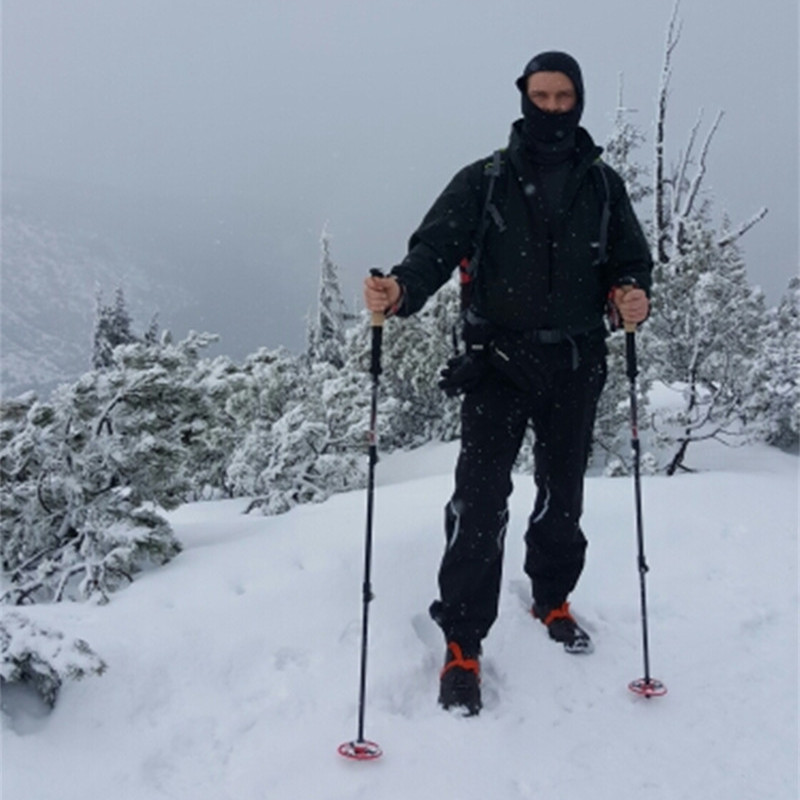 Trekking pole