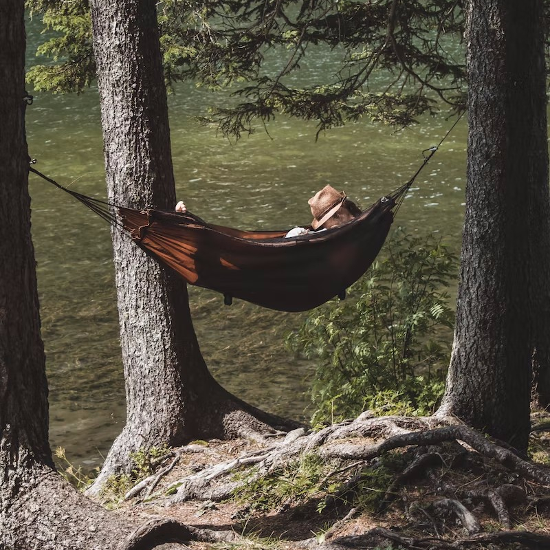 Hammock